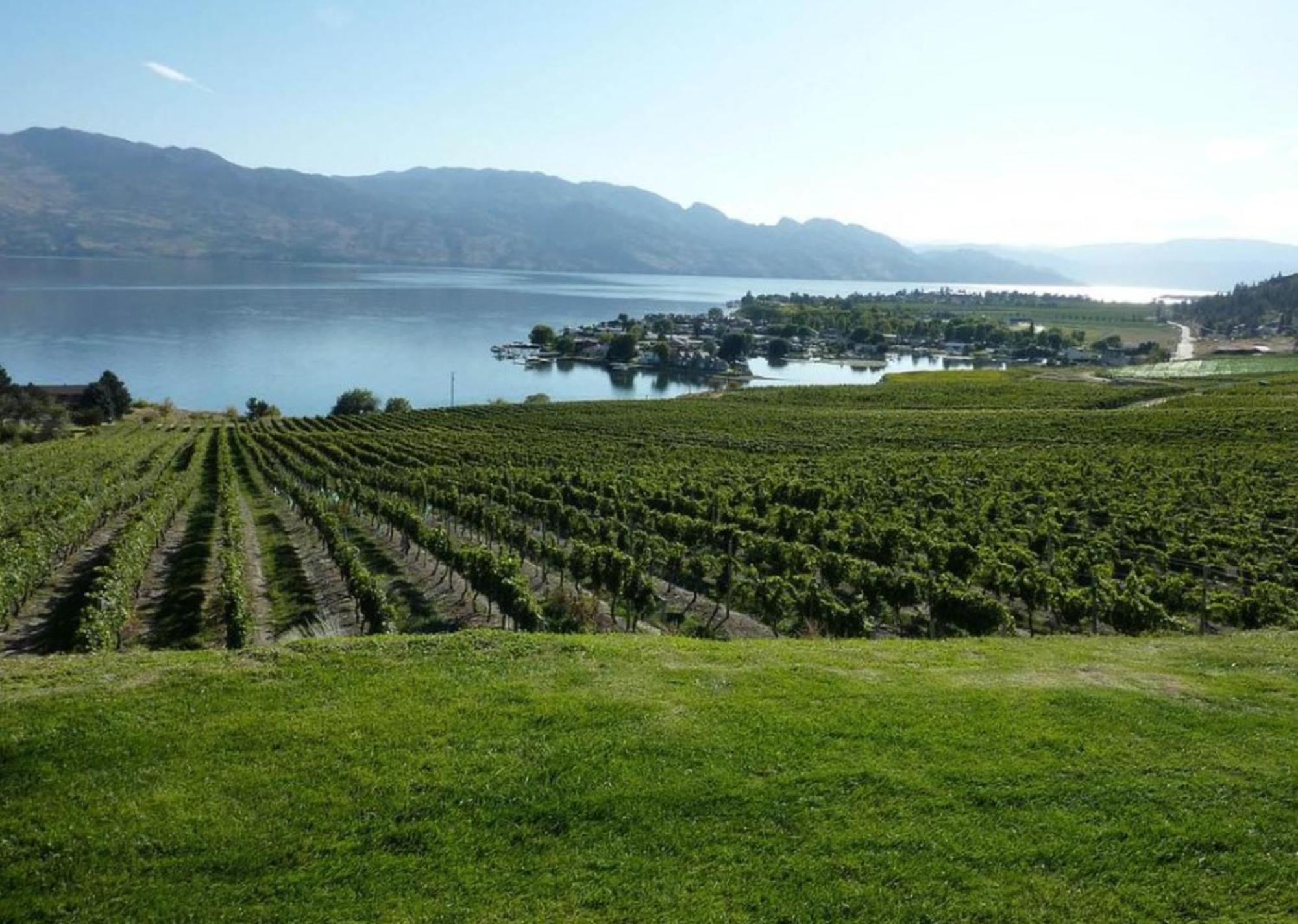 Holiday Inn Hotel & Suites Osoyoos By Ihg Luaran gambar